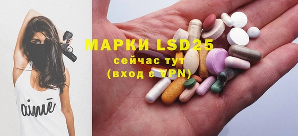 сатива Михайловка