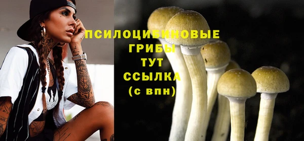 сатива Михайловка