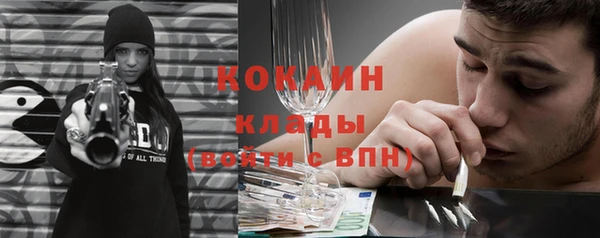 сатива Михайловка