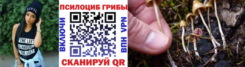 Купить закладки  Приволжский  Псилоцибиновые грибы Psilocybe 